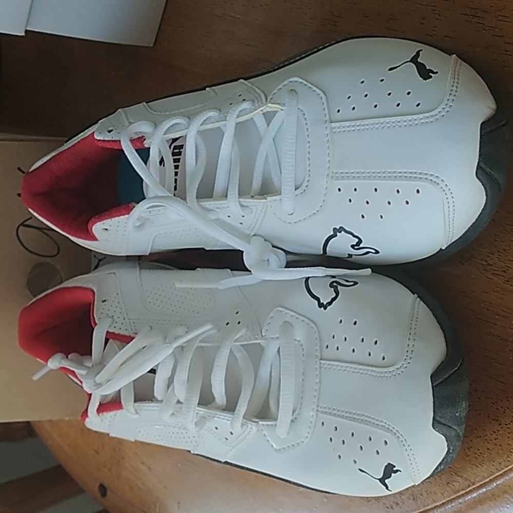 Puma
